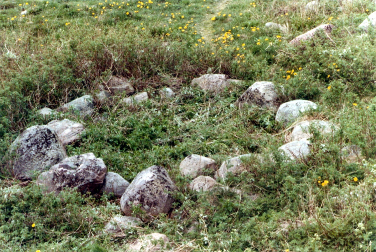 Olof Hasslöf, Skrivet på vidhängande papper: Bild 48, sid 213. Stenkrets vid vadlänne i viken X på Holländarebogen, Buskär, Smögen skärgården. Fotograferat av: Folke Samuelsson