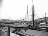 Enligt fotografens noteringar: 