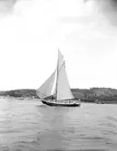 Enligt fotografens noteringar: 