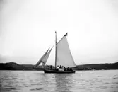 Enligt fotografens noteringar: 