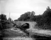 Enligt fotografens noteringar: 