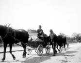 Enligt fotografens noteringar: 