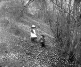 Vid vattenfallet vid Kung Karls skansar, Kvistrumsberget.