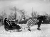 Slädfärd efter parhästar på Södertullgatan, Uddevalla