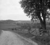 (Stereo karta XXI) Utsikt från gården Hofsäter vid N Bullaren, över bygden söderut. 
11 September 1930.