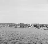 (Stereo karta XVI) Arvidsvik. 1 Augusti 1926.