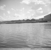 Hamnen på Grötö, Lysekil den 4 september 1950