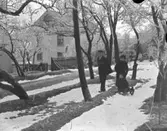 Engelska trädgården på vintern