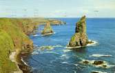 Notering på kortet: The wild grandeur of the stacks of Duncansby.