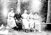 Fem kvinnor sitter arm i arm på en bräda, med barrskogsbakgund.