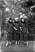 Tre damer i skogen.