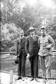 Tre män, Gustav Andersson (2), står vid ett stängsel med lövträd och buskar i bakgrunden. Mannen till höger är klädd i soldatuniform.