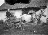 Kusk Anton Lindblom. Foto taget vid Hasselbo, Hacksta säteri, Enköpings-Näs socken, Uppland. Häst och gigg ska enligt äldre inkommet tips vara från prästgården i Enköping.