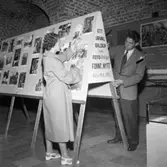 Ett urval bilder från fototävlingen 