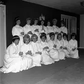 Luciakandidater hos SSU.