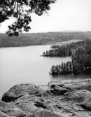 Utsikt från Uvaberget över Tenhultasjöns södra del.