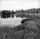 Turbagölen i Rogberga socken.