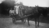 Häst och vagn med barn och ungdomar. Kusk är Gördis och bakom henne står Sonja och Valborg, Carl-Uno och Bengt sittande. Kållered 1930-tal.