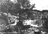 Lindome. Vattenfall vid Annestorp. 
Fördämning och fall vid Lindomeån på 1920-talet. De nya bostäderna som kom efter 
