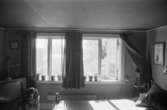 Bostadshus Roten M 10, okänt årtal. Interiörbild av ett rum med bl.a säng, tv och en hund.