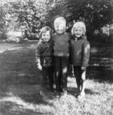 De tre barnen Carina, Jari och Agneta i trädgården på Brunnsgatan, 1965. De håller armarna om varandras axlar.
