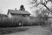 Bostadshus och fruktträd vid Heljered 3:26 (3:5) i Kållered, 1992.