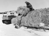 Lantbrevbärare Oskar Johansson,  Vuonatjviken, (körande
snövessla) på linjen  Långudden-Vuonatjviken  (33 km.)  April 1952. 
Lantbrevbärare Johansson (till vänster) får hjälp med lastningen.