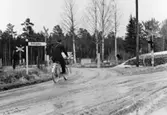 Lantbrevbärare, postiljon Erik Bergman (cykelåkande) i
Delsbo.  April 1956.

Brevbäringsturen är 2 ½ mil lång och omfattar nästan 300 hushåll. Postväskan väger ofta 30-40 kg.