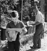 Bilåkande lantbrevbäraren Erik Johansson på linjen
Åkersberga-Singö-Björnhuvud-Åkersberga. Brevlådesamlingen i Alsvik.

Foto augusti 1961.