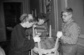 Antikvarisk storstädning på Gunnebo slott 1992. Antikvarie Ulla Hasselqvist, teknikern Alf Garthman och Kristina Wadensten inspekterar undersidan av en stolsits.
