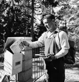 Lantbrevbärare (cyklande)  Sven Eriksson, Ljusterö, under brevbäringstur mellan V:a Lagnö till Lagnö Ö (c:a 7 km).