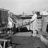 Marita Jerkeskog och Fedosja Teuhtonen skakar en matta, Idunagatan 39, 1960.