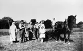 Olle, Anton, Arvid, Gunhild, Ingrid, Elvy och Klara Svensson slår hö vid Nersgården., 1930.