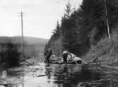 Postbefordran med båt på landsvägen vid Ennarbol i norra Klarälvsdalen vid översvämningarna 1931.