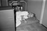 Ett litet barn med napp och nalle, ligger och sover på en kudde och madrass placerad på golvet. Katrinebergs daghem, 1992-93.