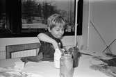 Henrik sitter och målar med målarfärg på papper. Tre glasburkar står framför honom på bordet och han doppar en pensel i en utav burkarna. Avdelningen Lunkentussen, Katrinebergs daghem, 1992.