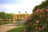 Till höger ser man en fullt utslagen rosa rhododendronbuske. I bakgrundens mitt ligger det gulfärgade Gunnebo slott med grusväg och gräsmatta framför.