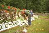 En man arbetar med att laga ett vitt staket som står framför en blomsterrabatt i Gunnebo slottspark.
