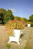 Blomsterurna utanför Gunnebo slott.