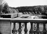 Utsikt mot Gunnebo slottspark, fotograferat från terrassen 1956.