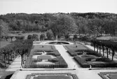 Vy mot söder över Gunnebo slottspark, juni 1971.