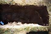 En grävd grop vid Gunnebo slott, maj 1995.