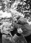 Två barn som gungar. Holtermanska daghemmet juni 1974.