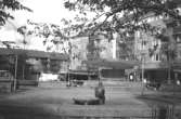 Skulpturen Albert på Mölndals torg. Mölndalsbro i dag - ett skolpedagogiskt dokumentationsprojekt på Mölndals museum under oktober 1996. 1996_0968-0986 är gjorda av högstadieelever från Kvarnbyskolan 9A, grupp 4. Se även 1996_0913-0940, gruppbilder på klasserna 1996_1382-1405 samt bilder från den färdiga utställningen 1996_1358-1381.