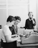 Näsby park, Sverige