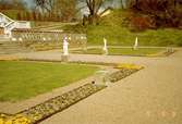En del av Gunnebo slottsträdgård med blomsterrabatter runt två gräsmattor och tre statyer, som står på varsin sida om gräsmattorna. Maj 1991.