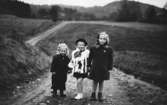 Tre flickor på promenad år 1950. De står i den gamla älvbrinken, längst bort i Alveredsdalen.
Från vänster: Karin Petersson (gift Hansson), Gerd Andersson och Eva Pettersson (gift Kempe, Karins syster).