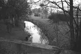 Ån vid Skedebron, från öster, 1996-01-16.