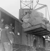 Hallandsbolagets ångare Gladan avgår med 55 ton, eller ungefär 8000
gåvopaket, från Trelleborg till Lübeck. Maximivikten var efter 16.8
10 kg.