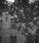 Werners fabriker i Annestorp, Lindome, hösten 1994. Byggnadsdetaljer: Fönster.